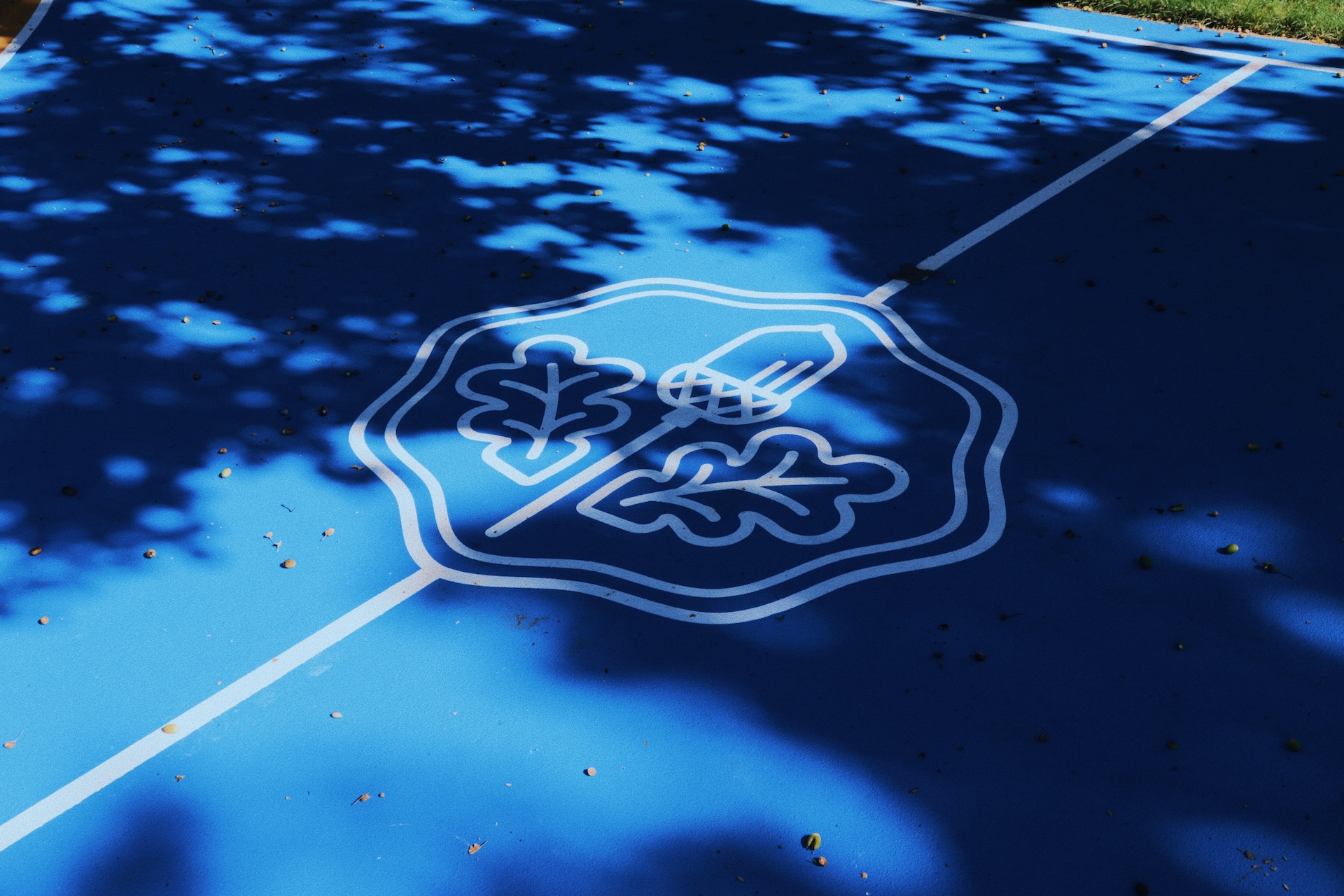 Processed with VSCO with g4 preset